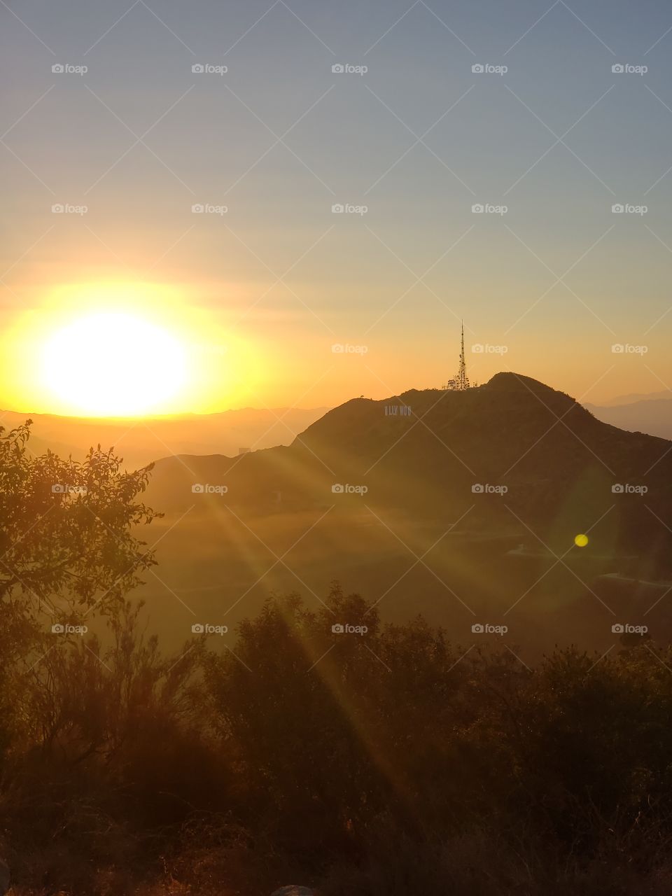 Hollywood Hills Sunset