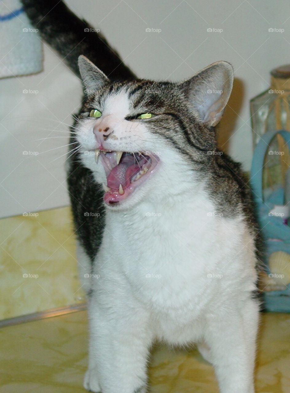 Pay attention to me!