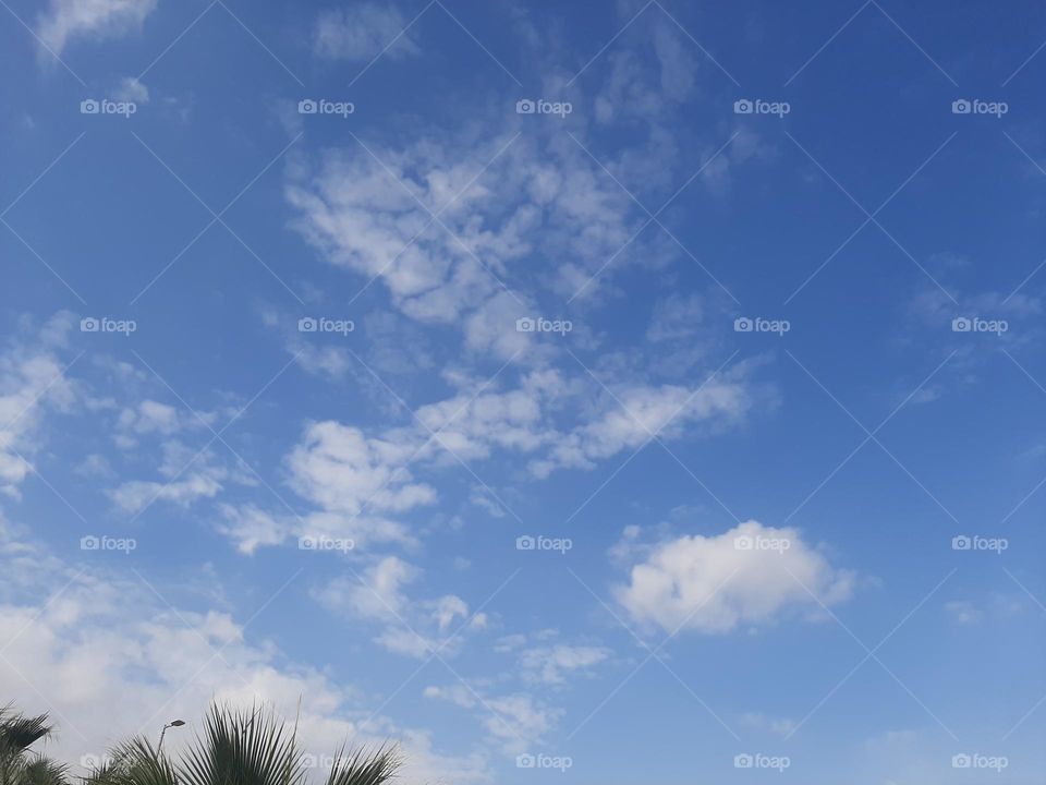 Please help me, I am very poor, I need your support and God is in need