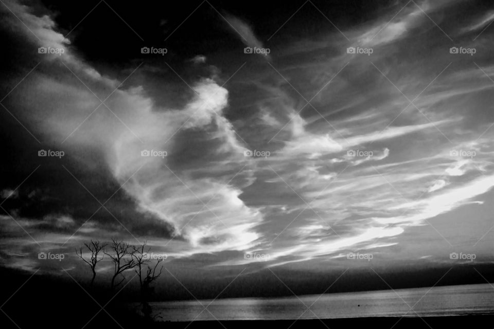 Surreal landscape. State of the soul. Oniric vision with clouds, bare trees, the sea. Black and white version of a real landscape.