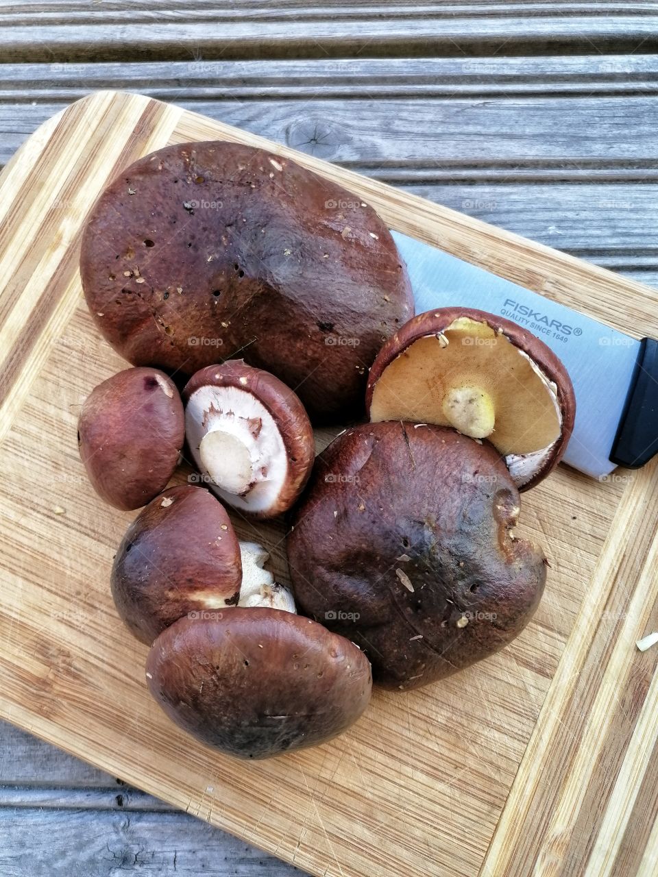 In August, you can find a lot to eat in the forests of Finland! Here are some really delicious mushrooms, suillus luteus.