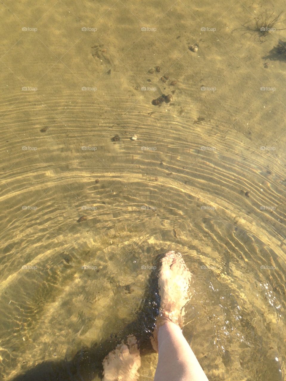 so began the summer - riverside 