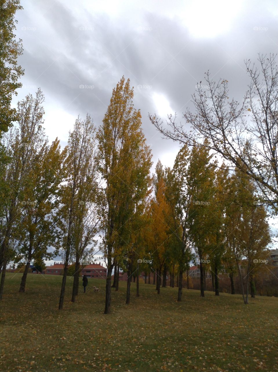 A city park in autumn