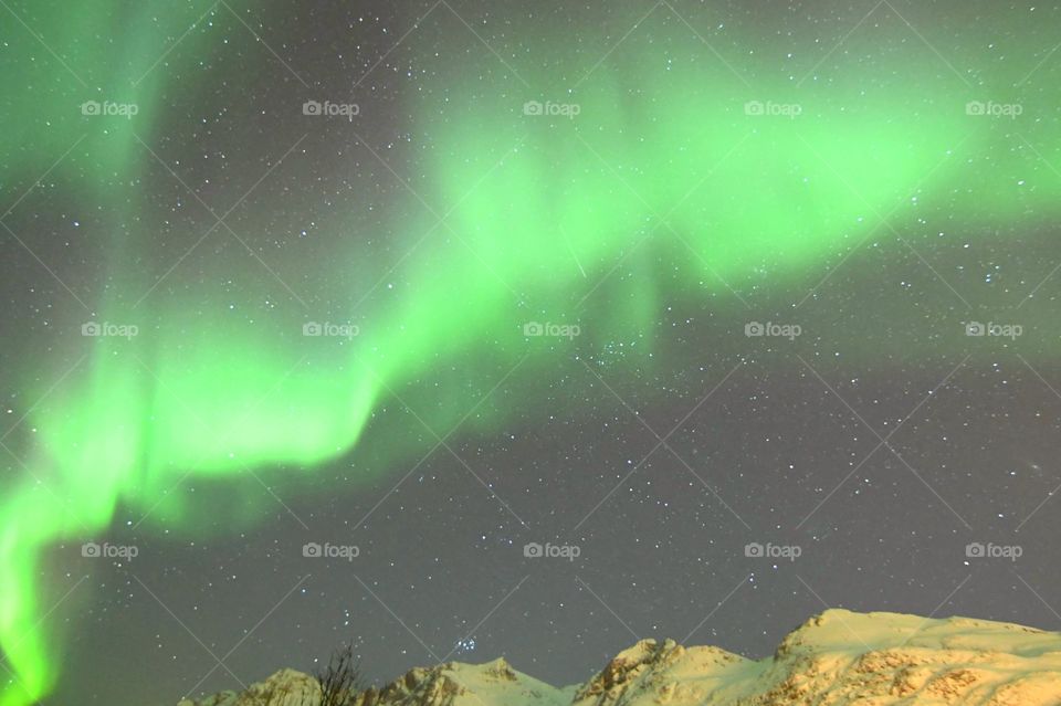 Amazing Dancing Northern Lights