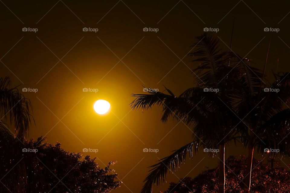 Long Exposure Half Moon