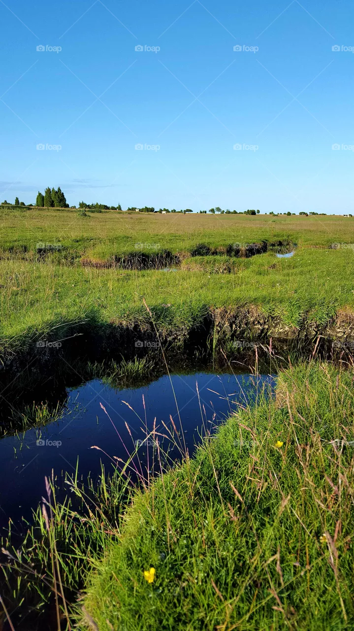 Waterholes