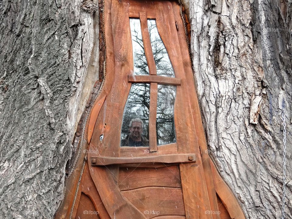 Curves doors on a tree