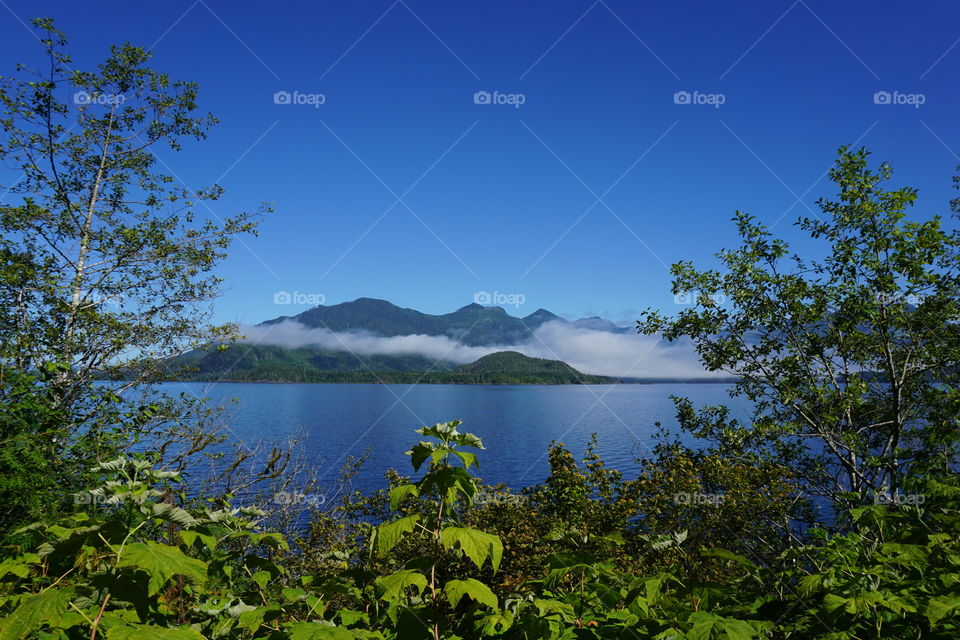 Awesome view on Vancouver Island 