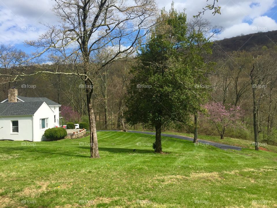 White historic home in Virginia countryside in Spring with mountains and trees 