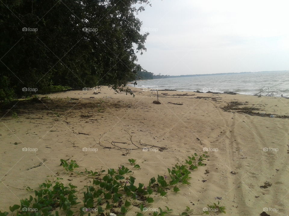 Temajuk Beach