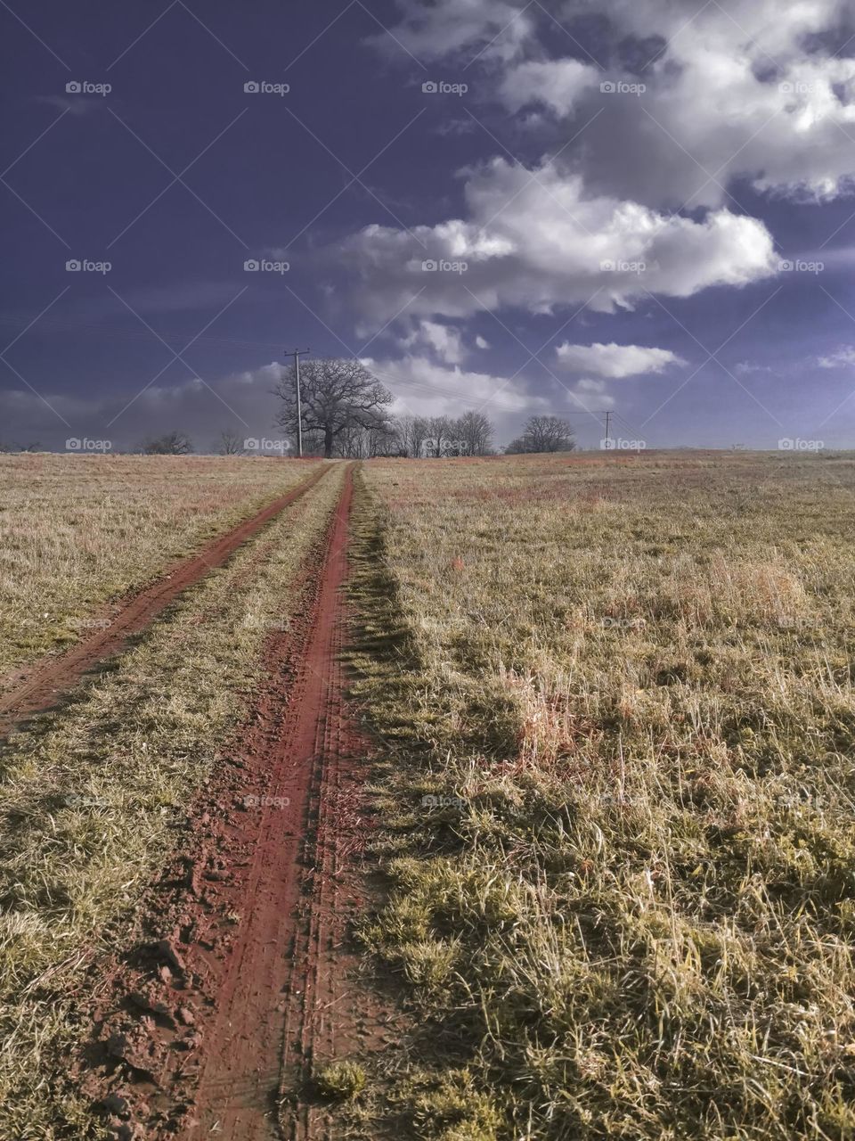 Red Road across the field