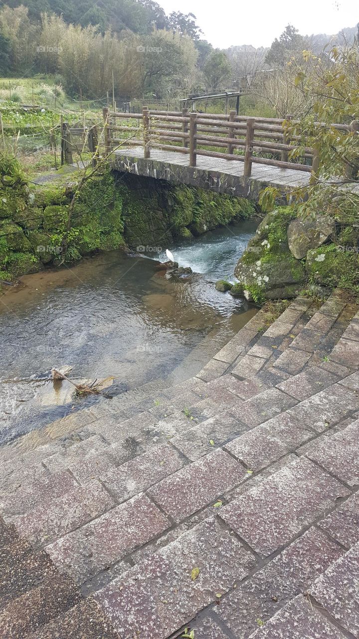 Natural landscape, bridge over the river
