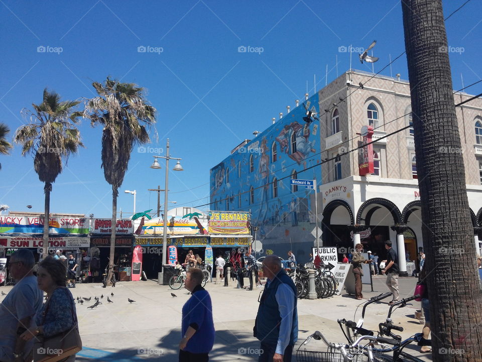 Venice Beach