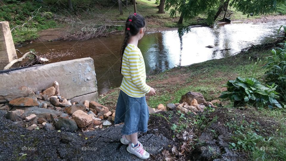 Water, Nature, Outdoors, Summer, Wood