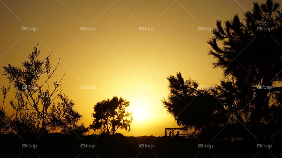 Sunset#nature#trees#silhouette