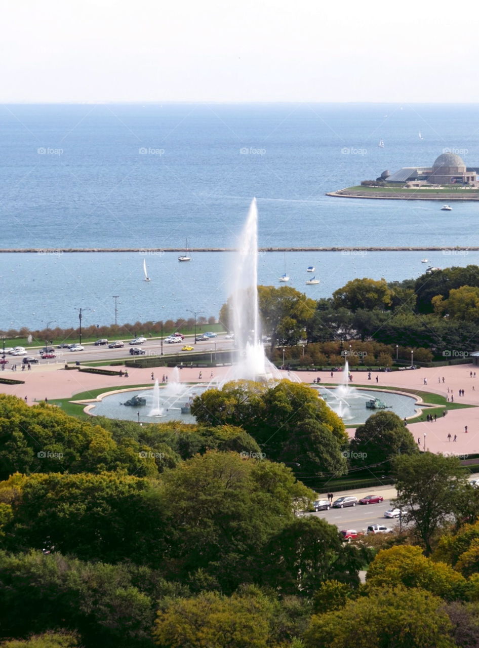 Buckingham Fountain 