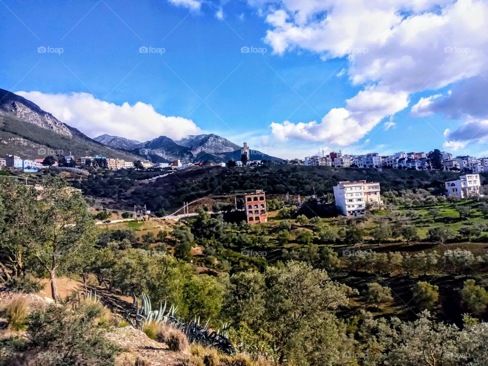 population between the nature