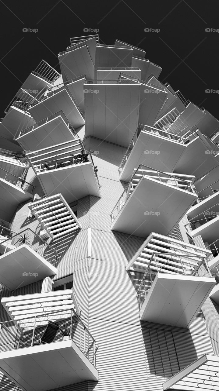 Montpellier der weiße  Baum