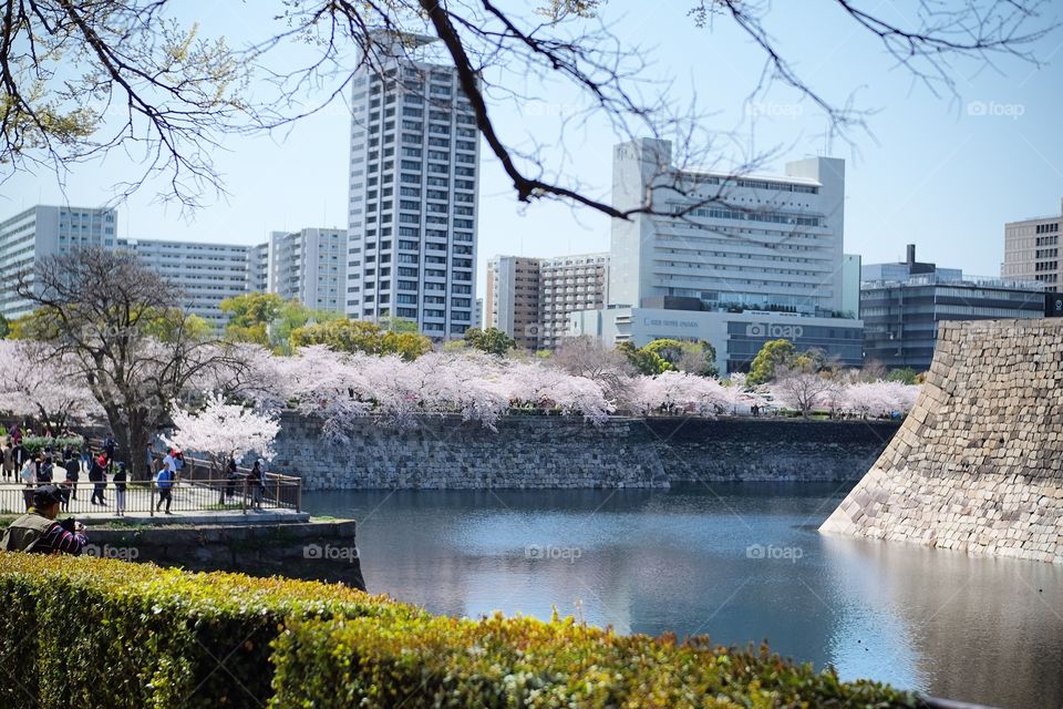 The welcoming Scenic view of the city and nature gives comfort and hope to people that everything will be alright. 