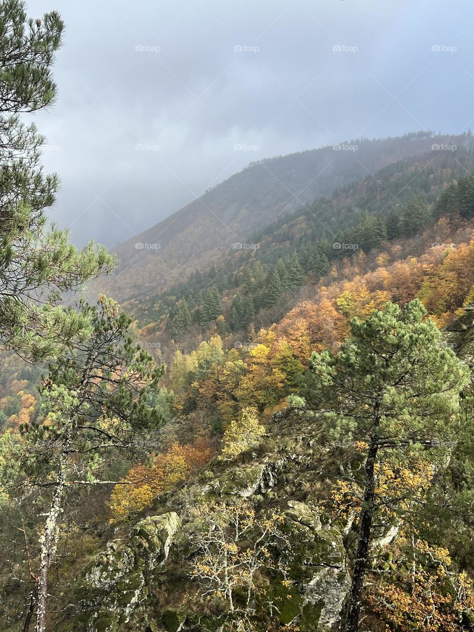 Nature view in Manteigas, Portugal 