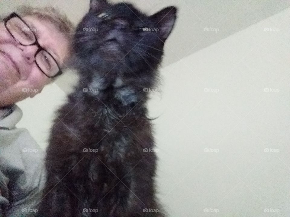 Mr Black cat inside and me