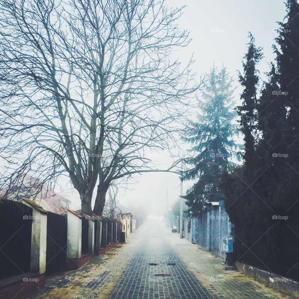 View of street in foggy weather