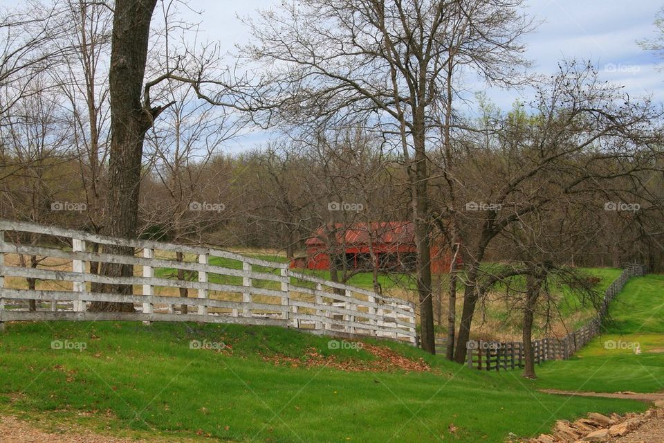 Spring on the Farm