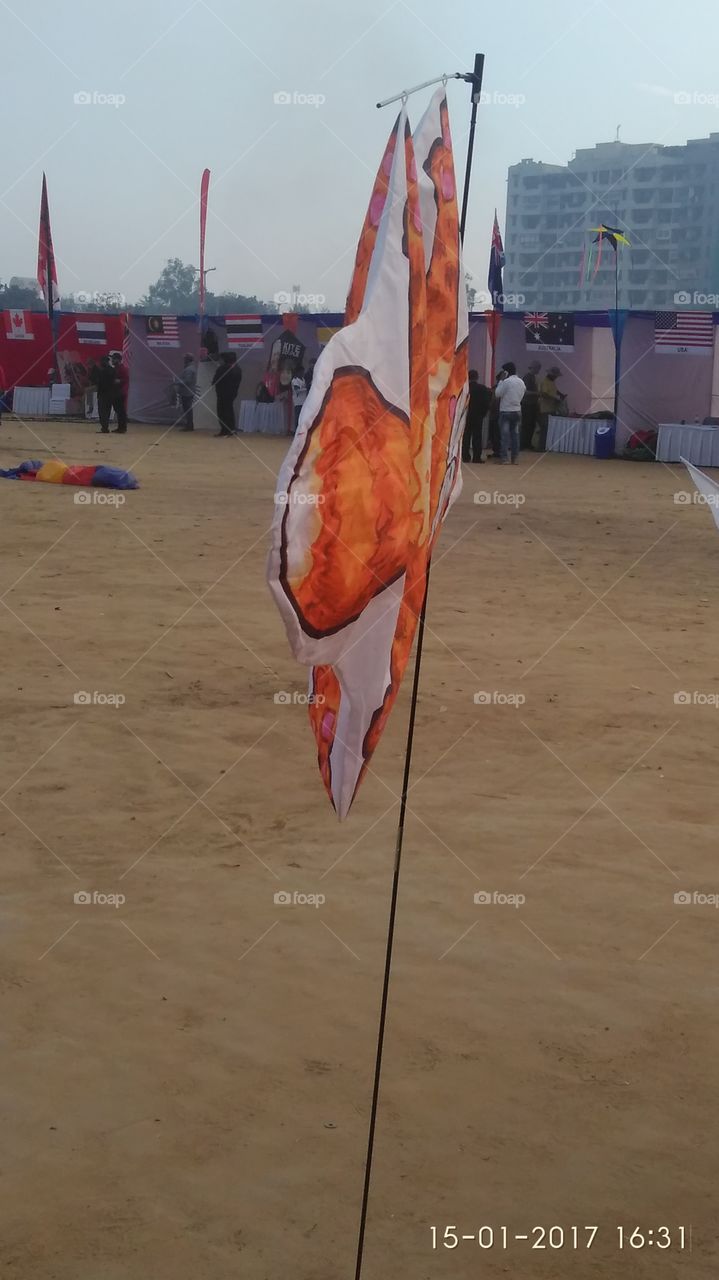 kite competition