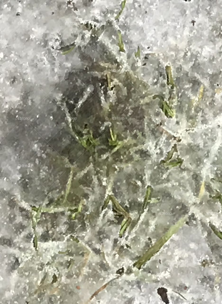 Der Frühling kämpft sich durch den Schnee