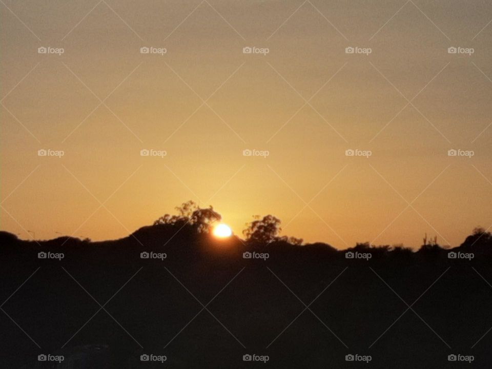 The magic touch of nature!