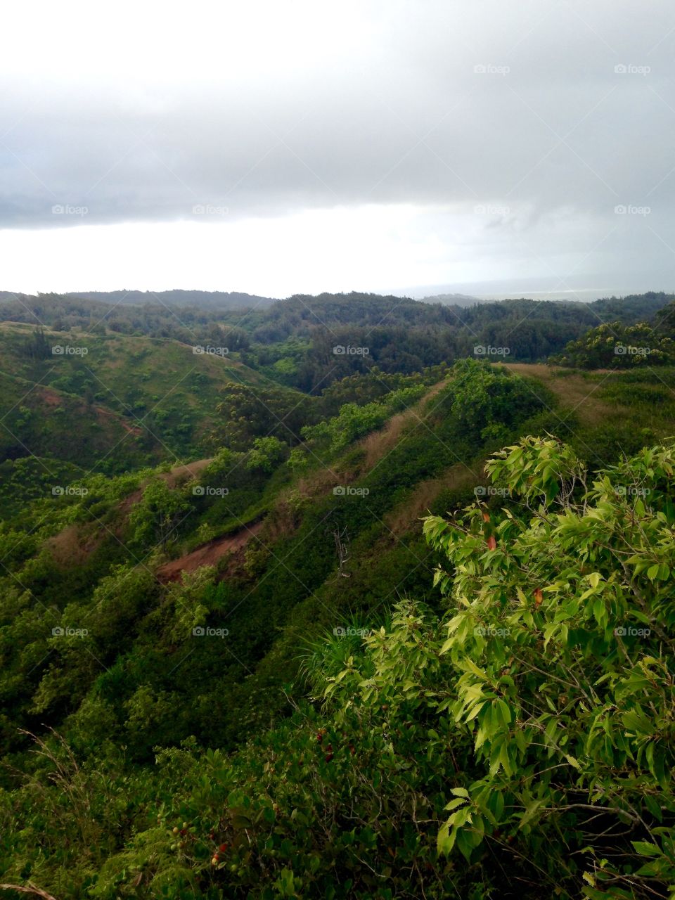 feel like I wondered into an episode of LOST