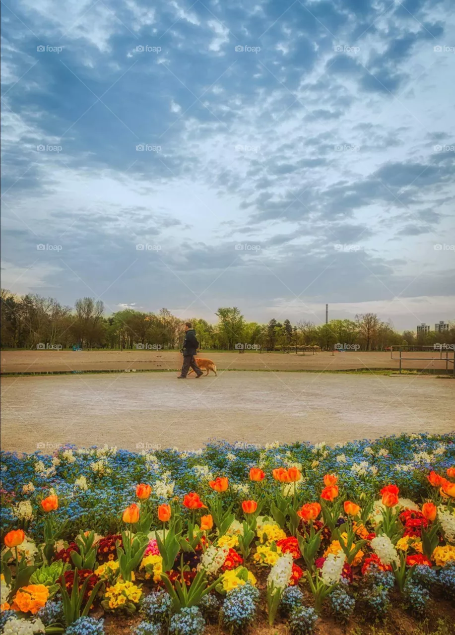 park