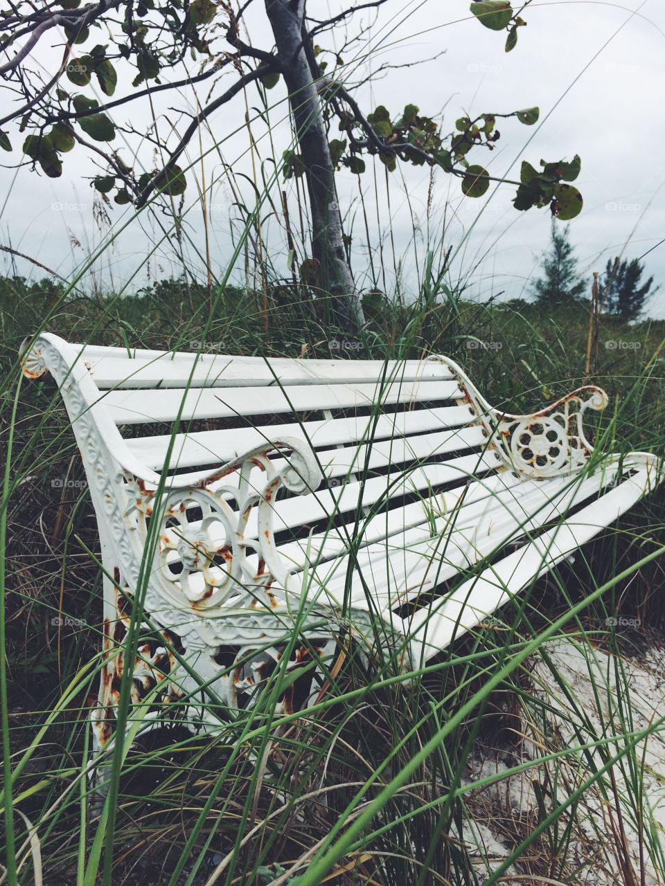 Antiqued iron bench on the beach, Florida.