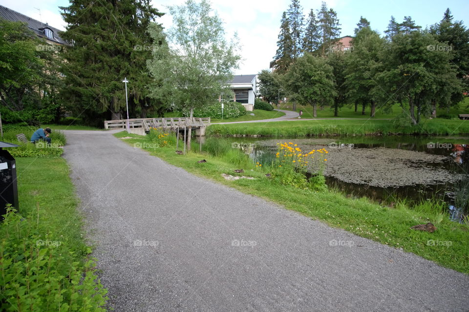 Road, Landscape, Guidance, Tree, No Person