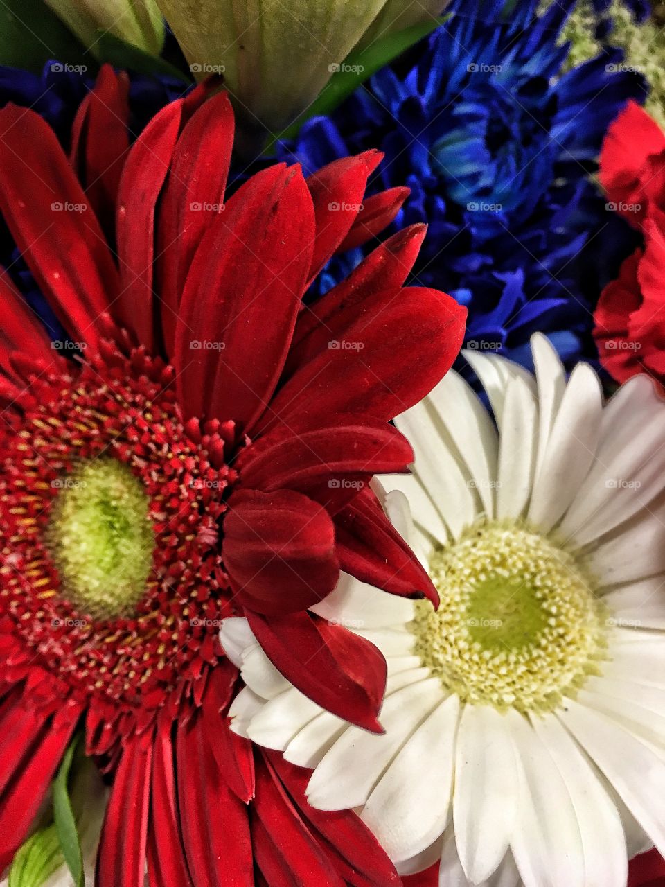 Memorial Day flowers 