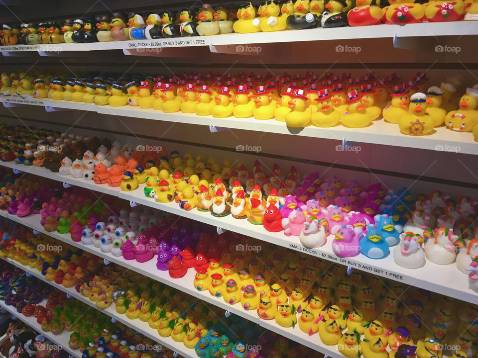 Shelf at Ducks in the Window, rubber duck store in Chatham, MA