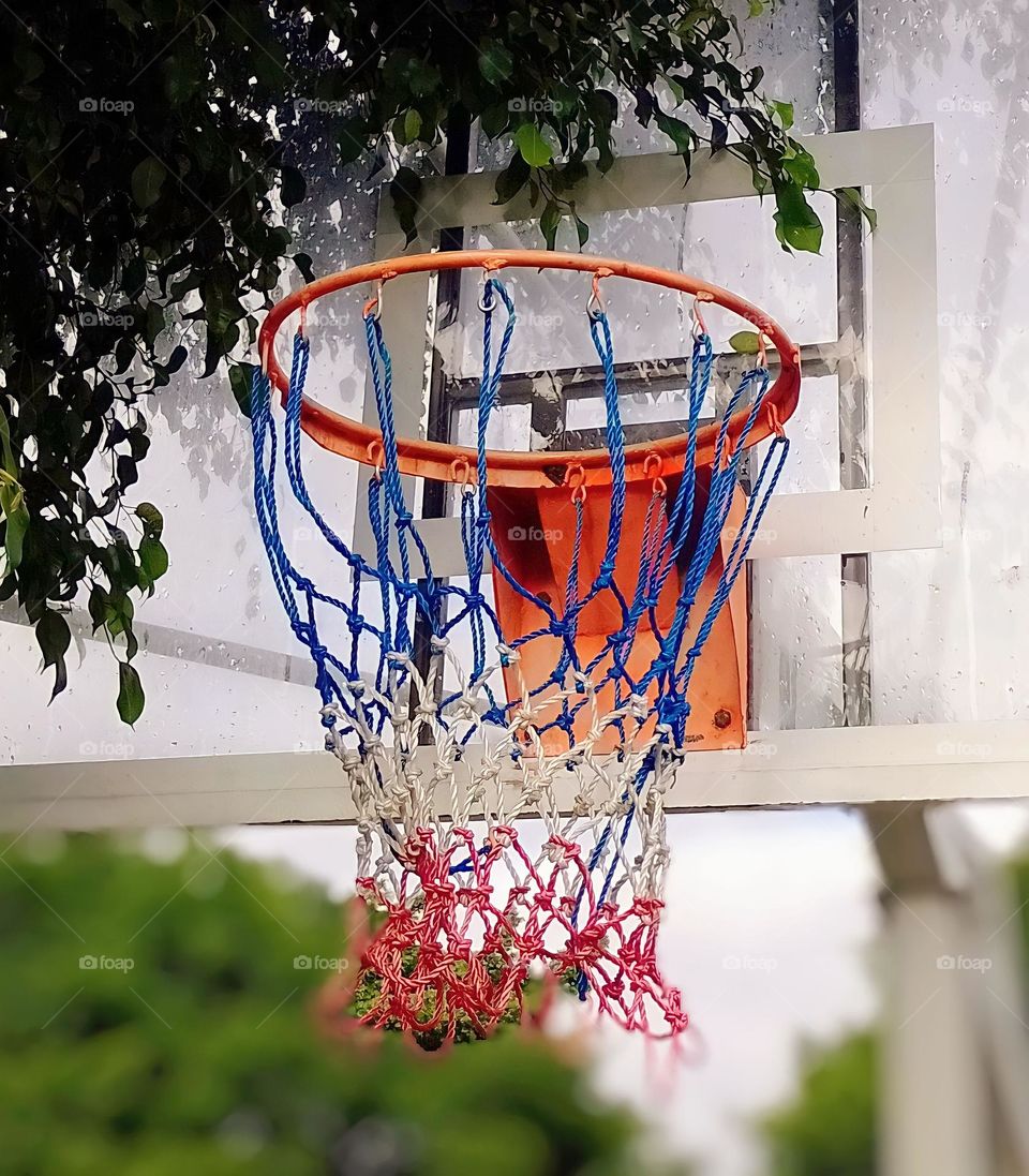 basketball hoop