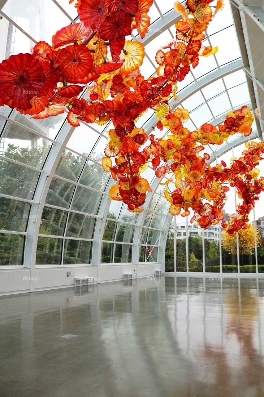 Glass Flowers by Chihuly