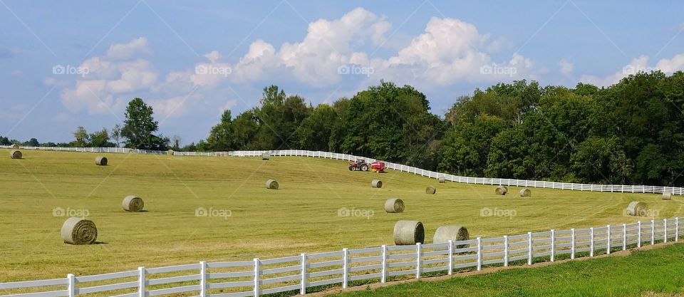 with red tractor in field