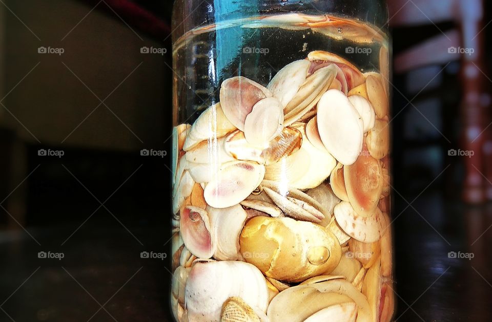 Sea shells in a container