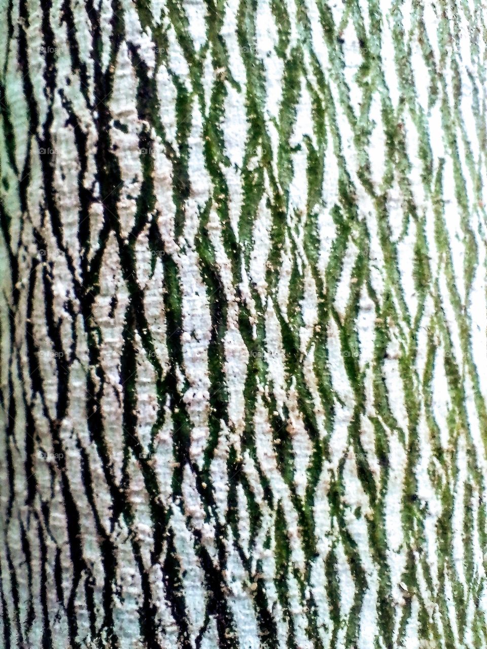 Art Pattern of Plant