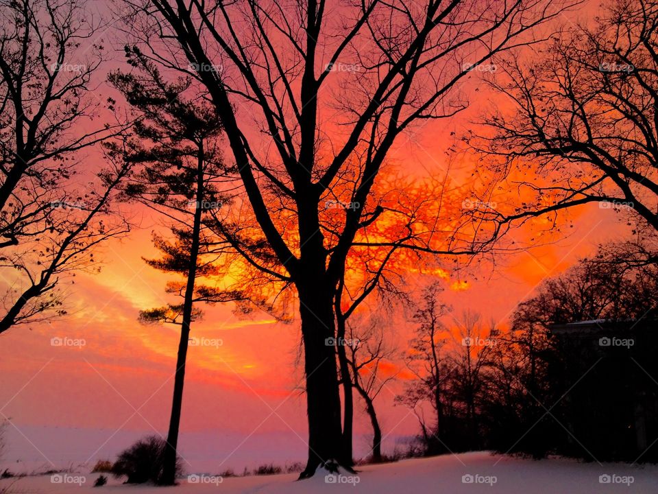 View of bare tree during sunset in winter