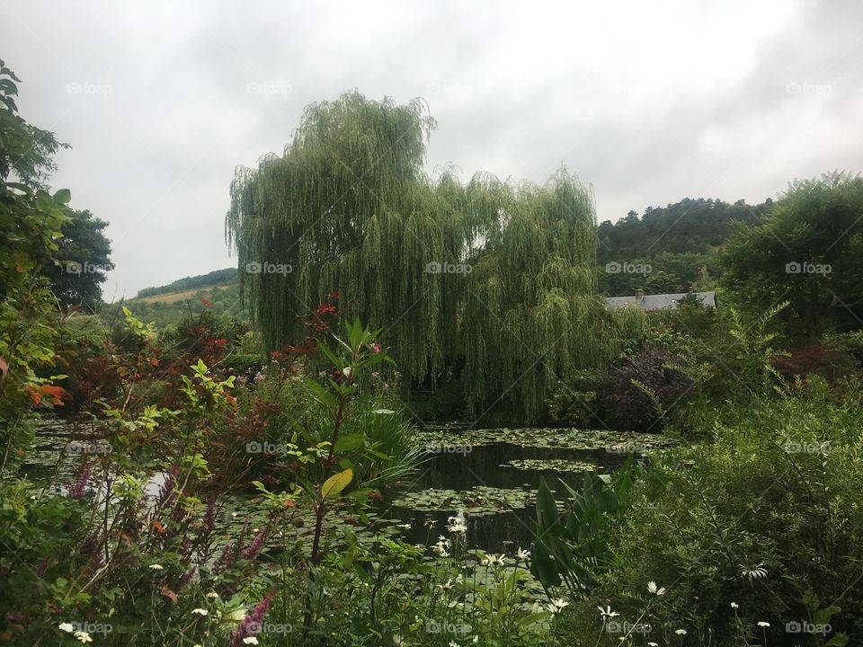 Claude Monet gardens 