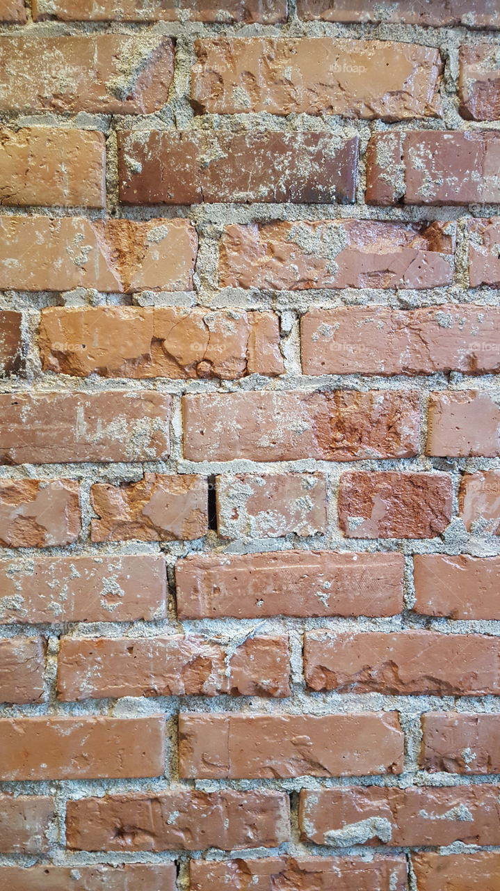 brick wall