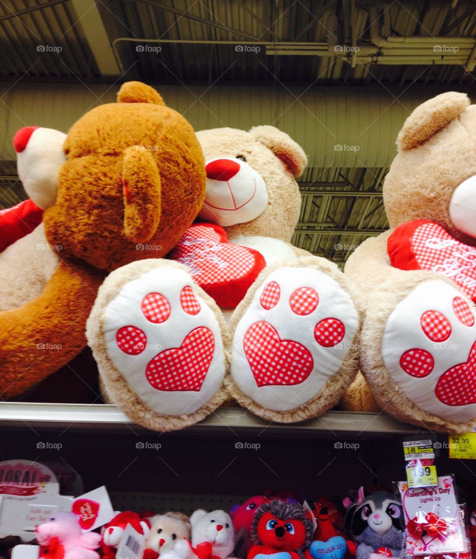 Valentine Bear