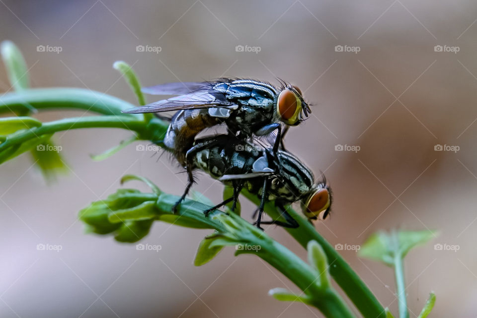 Wik wik wik wik wik wik wik 😁😁