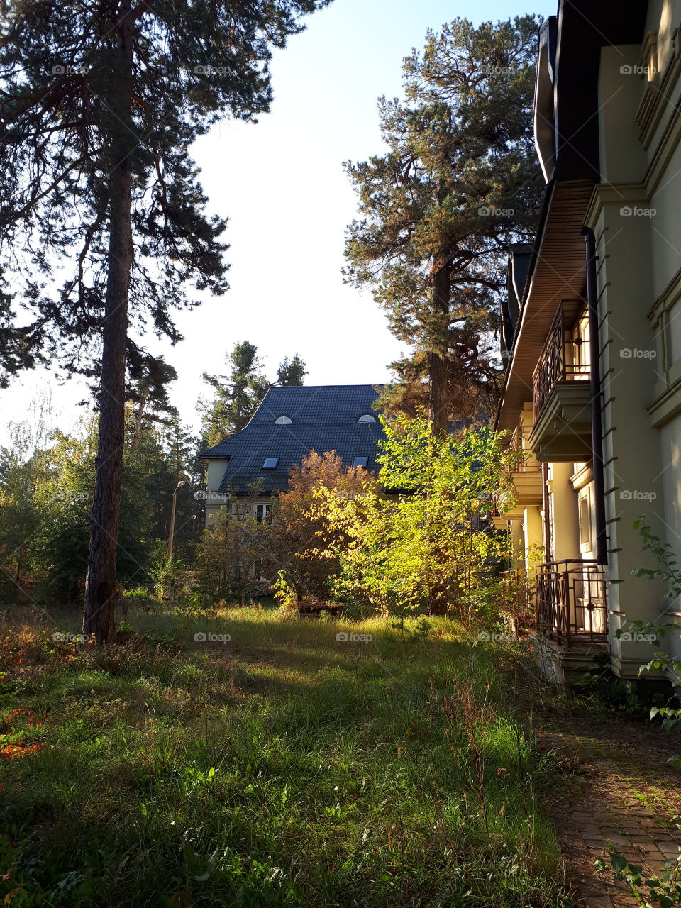 Summer house in the forest