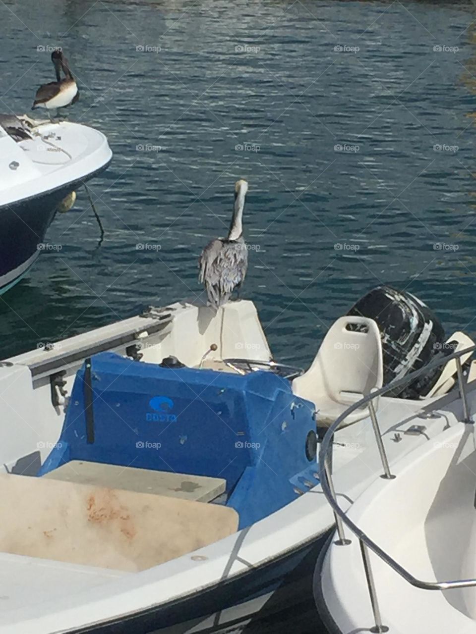 Maybe this boat has a fish or two