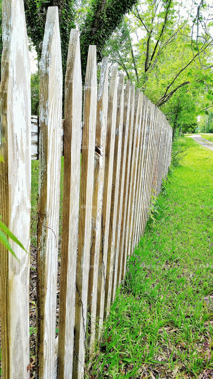old whitewashed wooden fence