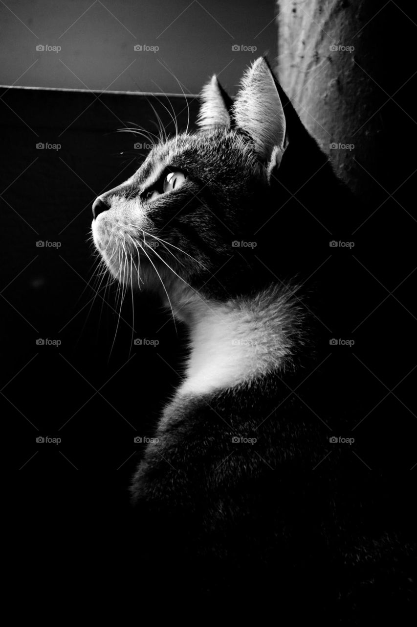 It ain't all black and white